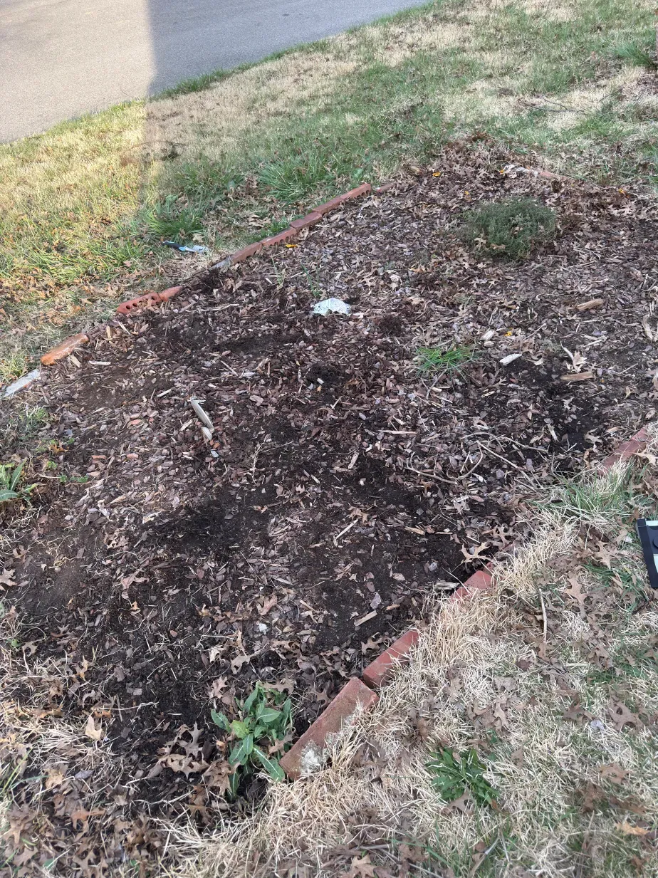 A photo of a front-yard garden with a brick border. Few sprouts can be seen.