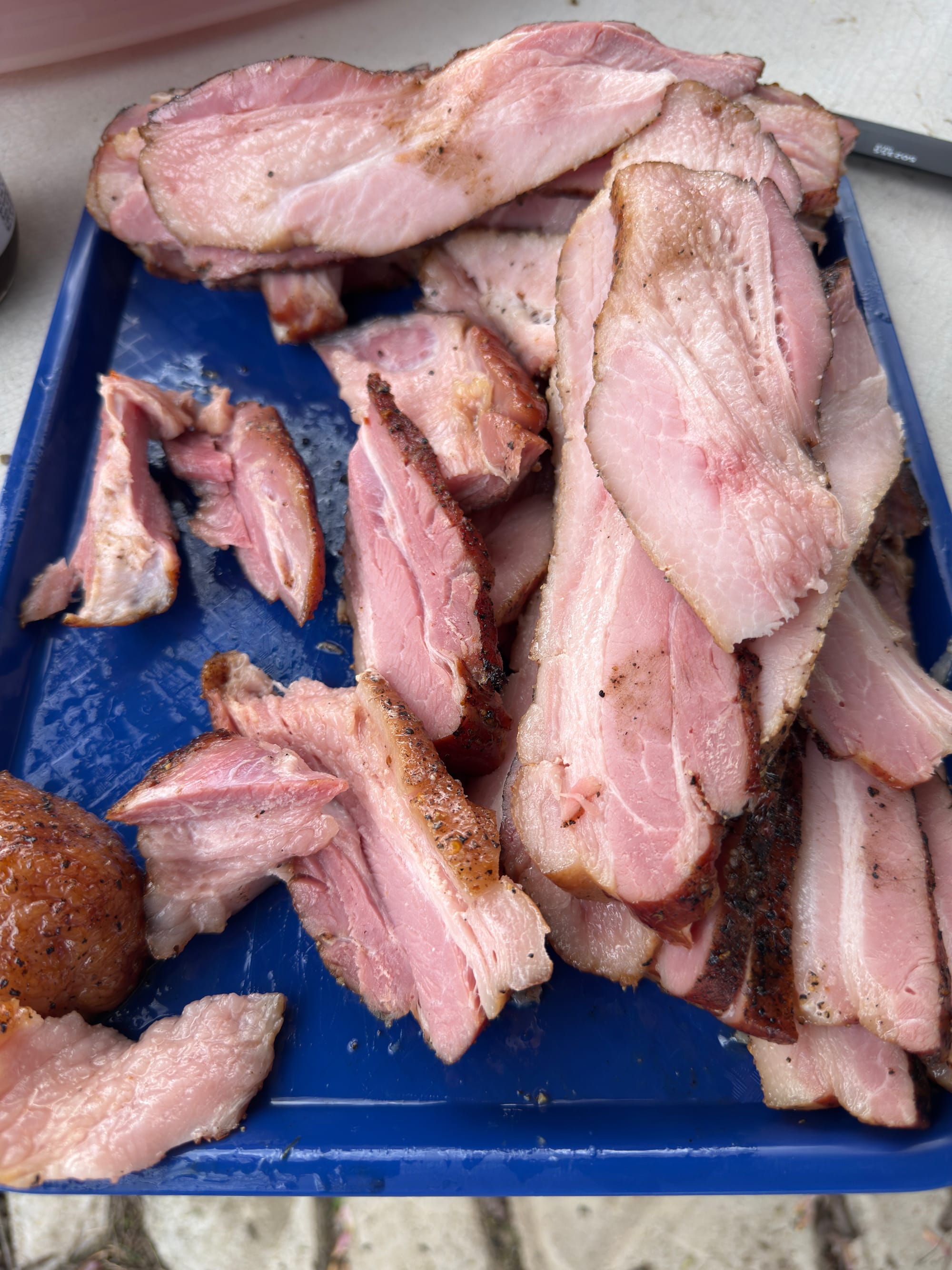 A blue tray full of slices and chunks of bacon, ready to cook.